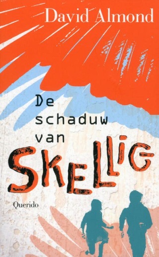 Omslag van De schaduw van Skellig