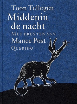Omslag van Middenin de nacht