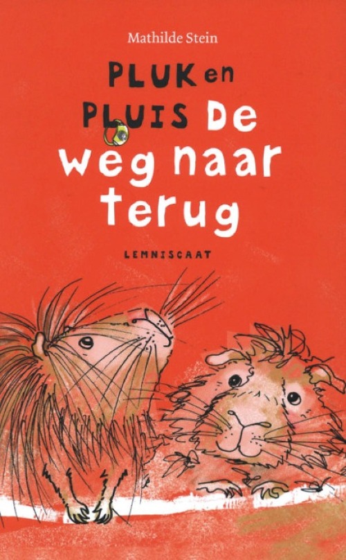 Omslag van Pluk en Pluis