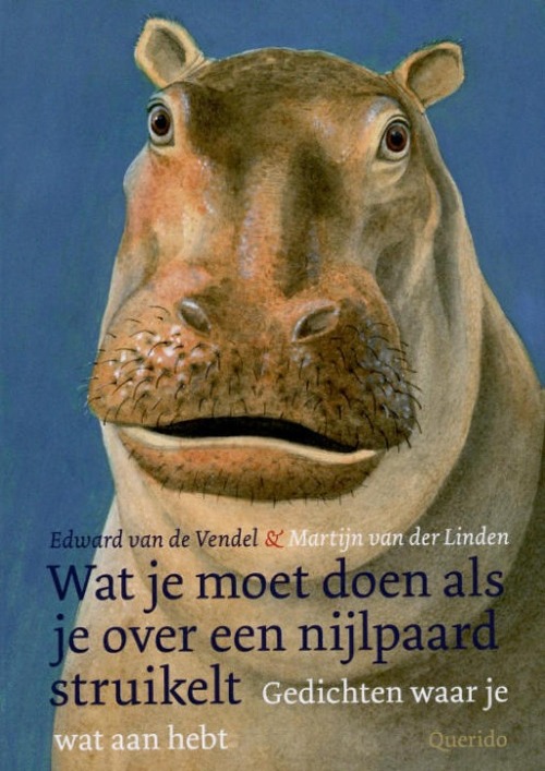 Omslag van Wat je moet doen als je over een nijlpaard struikelt